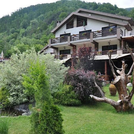Pensiunea Valahia Brezoi Exterior foto